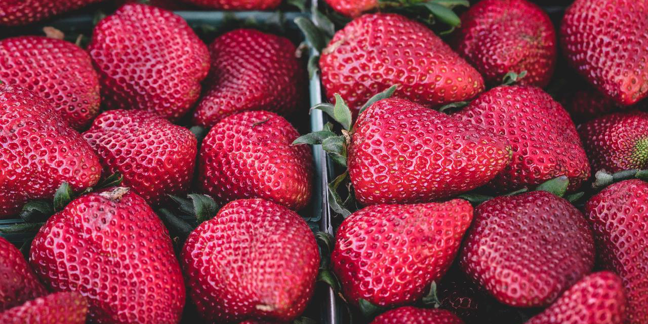 Computer Engineering - Turna Turkish Language Model